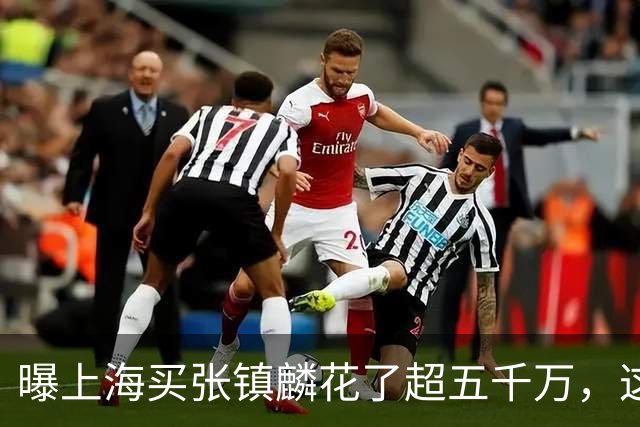 曝上海买张镇麟花了超五千万，这相当于一支球队整个赛季收入！