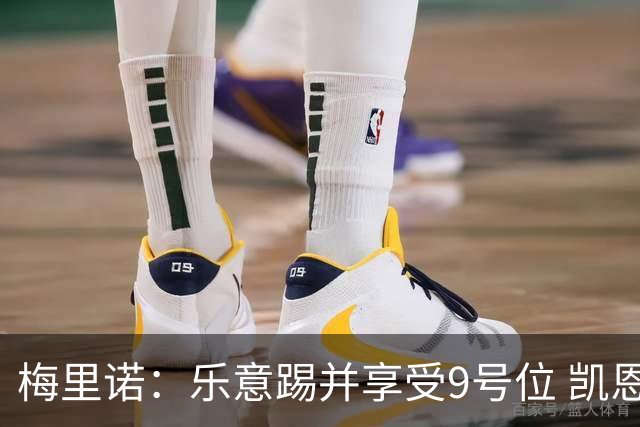 梅里诺：乐意踢并享受9号位 凯恩与我风格相似2优1劣